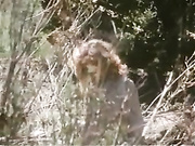 Bad Girls 2 \ Плохие девчонки 2(1983)