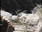 Елена Дробышева - 1988 - Утомлённое солнце