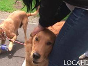 teenie spreads her legs during sex video film 1