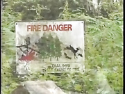 британское Шампанское