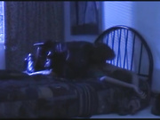 Чел в кожаном приковал наручниками Zara Whites к кровати