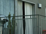 Голая Джессика Гомес - Его собачье дело