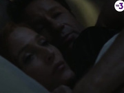 СКАЛЛИ И МАЛДЕР пастельная сцена