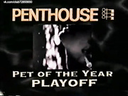 Пентхаус- Конкурс Любимица