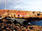 Русская стройняшка расслабилась у моря и ласкает свою пилотку