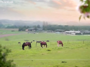 Shnick Shnack Shnuck эротический фильм