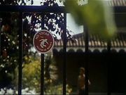 Сексуальный Апокалипсис 1982