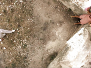 Pauline Gaitan, Edith Gonzalez - Desire