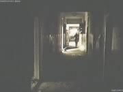 Dissident Naked girl walks down the hall