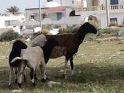 Ксюша Егорова и ее зачетные сисечки