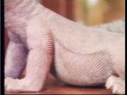 The idol of pleasure