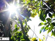 TUSHY - a Married cuple couldn't Wait to Share this Redhead's Asshole