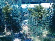 Passionate Extreme Sex in an abandoned camp