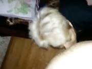 Vadik tries to fuck a mature woman in the ass (Russian homemade porn with dialogues)