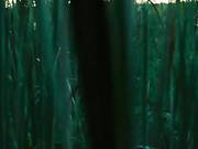 Nude Pascale Bussieres, Valerie Blain