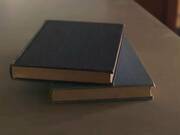 Alona Bloom gets gorgeous sex