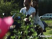 Bloom Lambie - Bloom Lambie, the Reunion