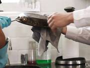 Sarah Vandella, Kendra Spade