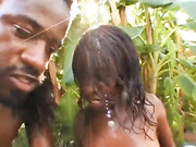 Черные и смазанных маслом