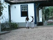 Рабыня Изаура 1